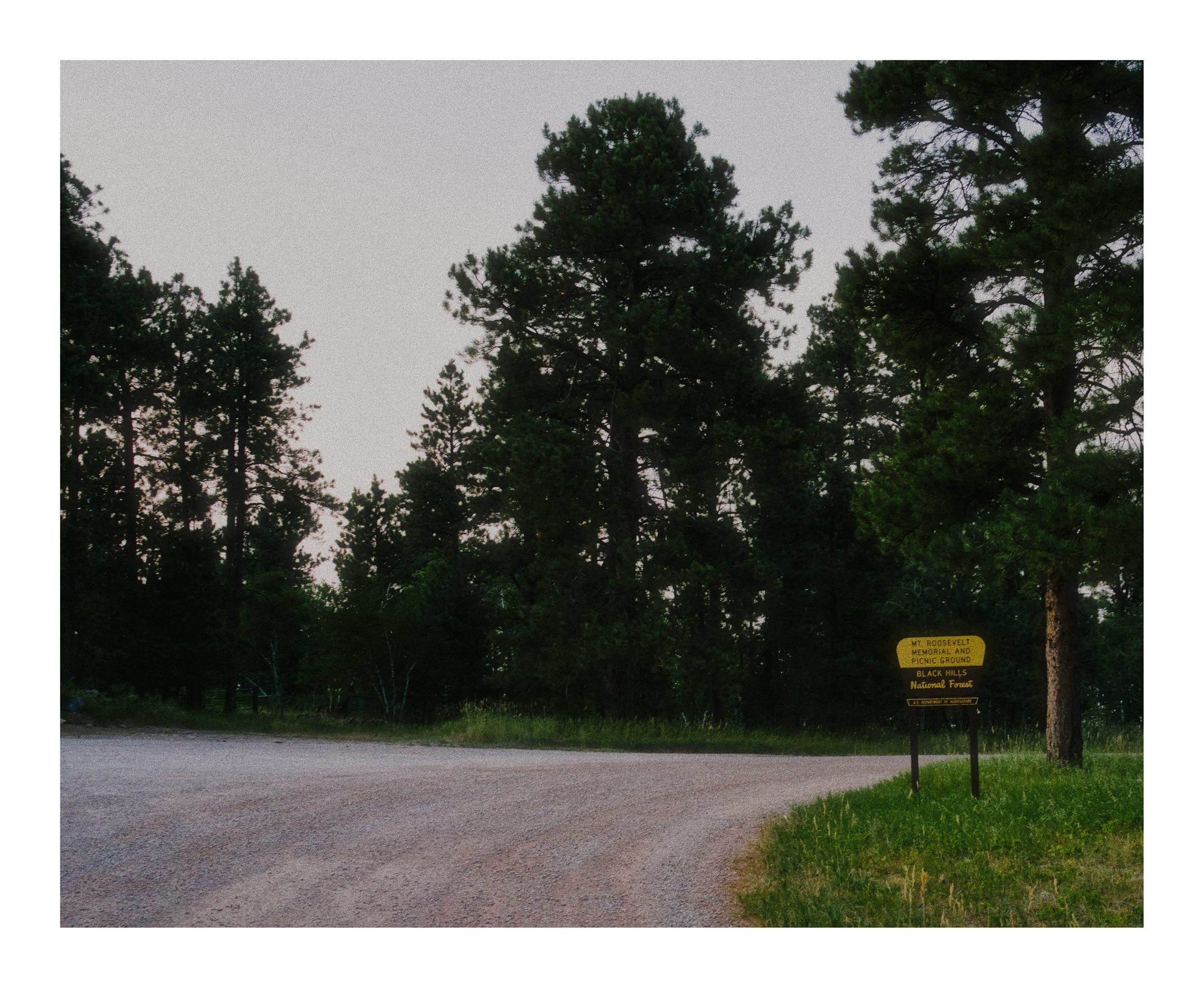 A gravel road bending into trees beside a small yellow sign.